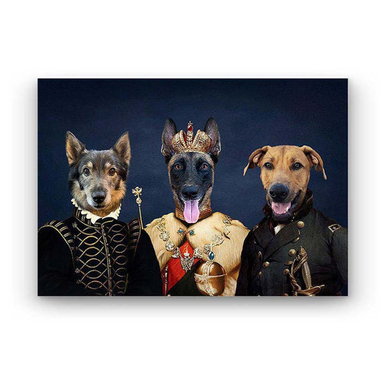 Trio - Portrait d'Animal